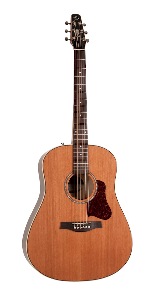 Seagull Coastline Momentum HG A/E (042494) 木結他