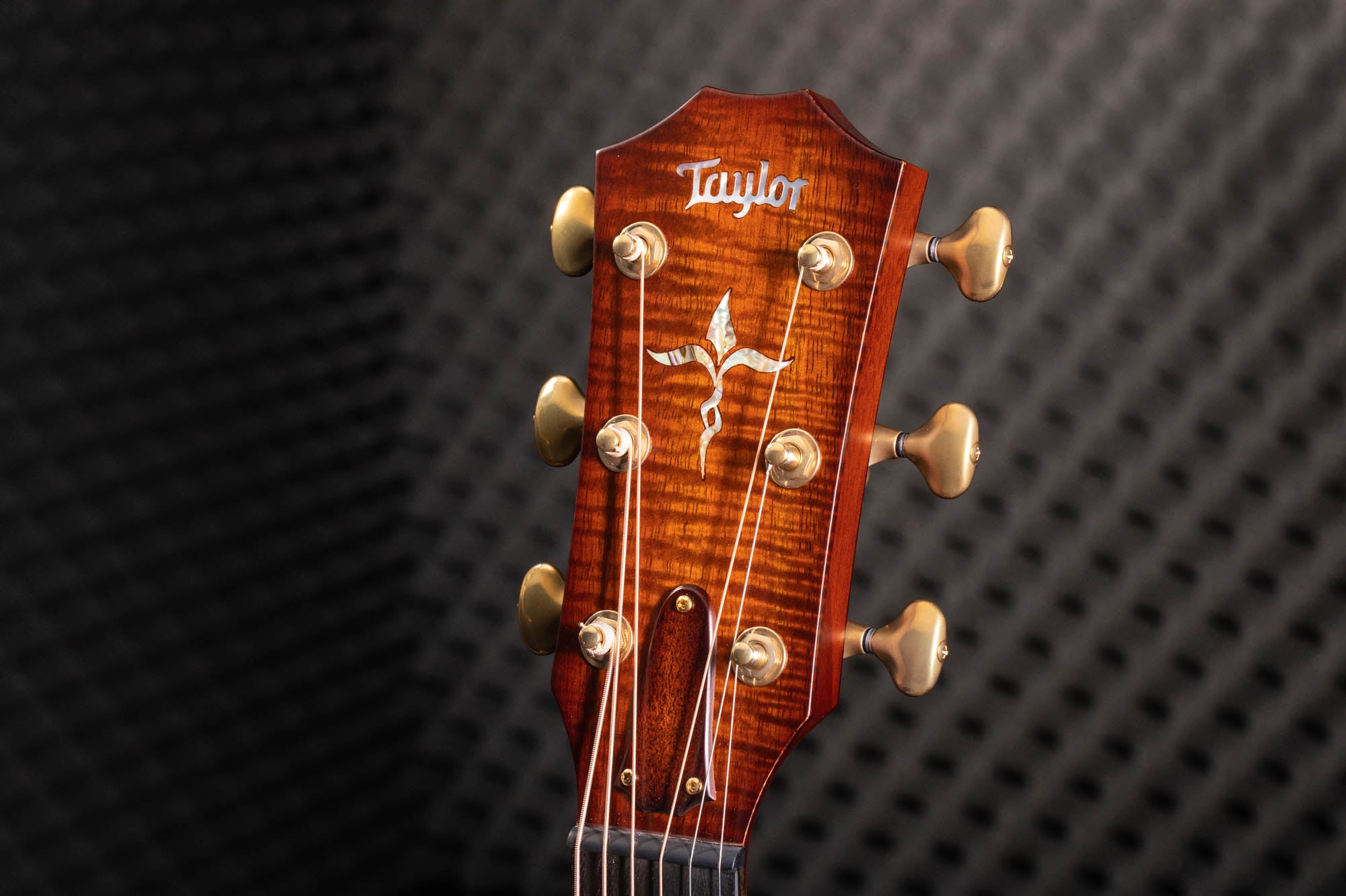 Taylor Custom #10: Grand Concert 12-Fret, Hawaiian Koa (AA)/Western Red Cedar