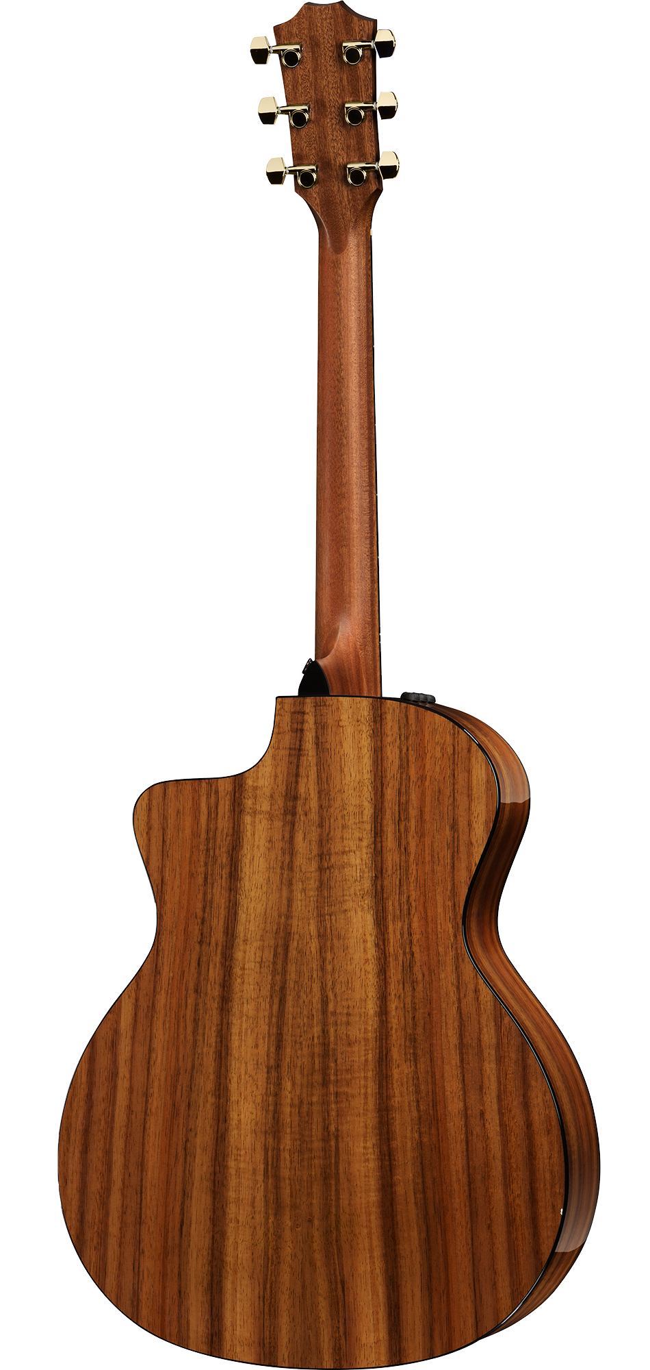 Taylor 224ce-K Dlx Acoustic Guitar 木結他 — Tom Lee Music