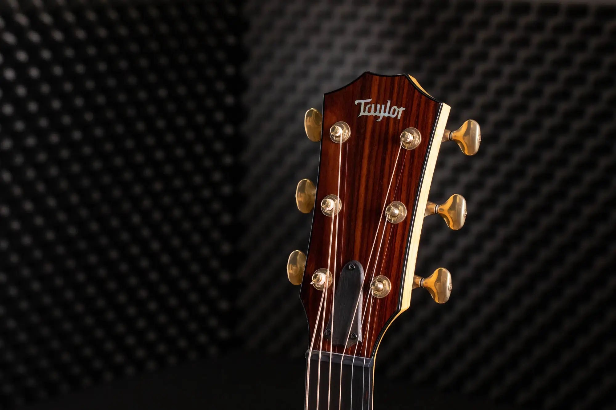 Taylor Custom #30: Grand Orchestra, Quilted Big Leaf Maple/Lutz Spruce