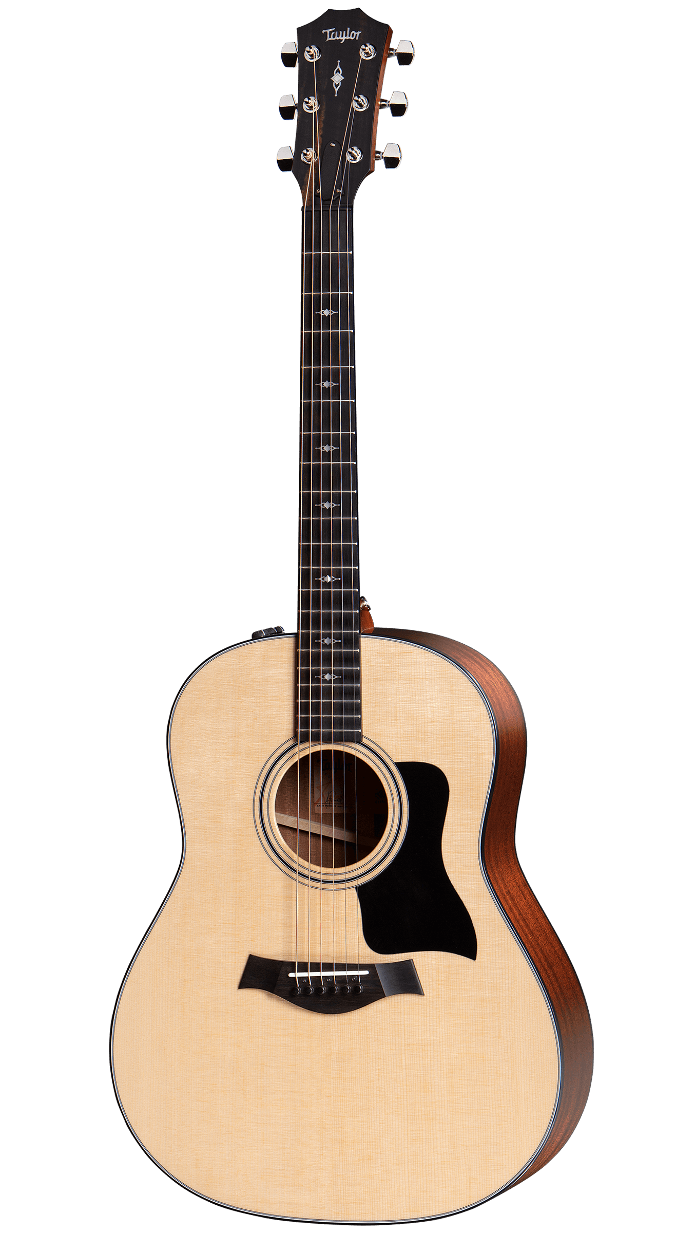 ギター Taylor317e Nation Peghead - 317e Taylor ギター