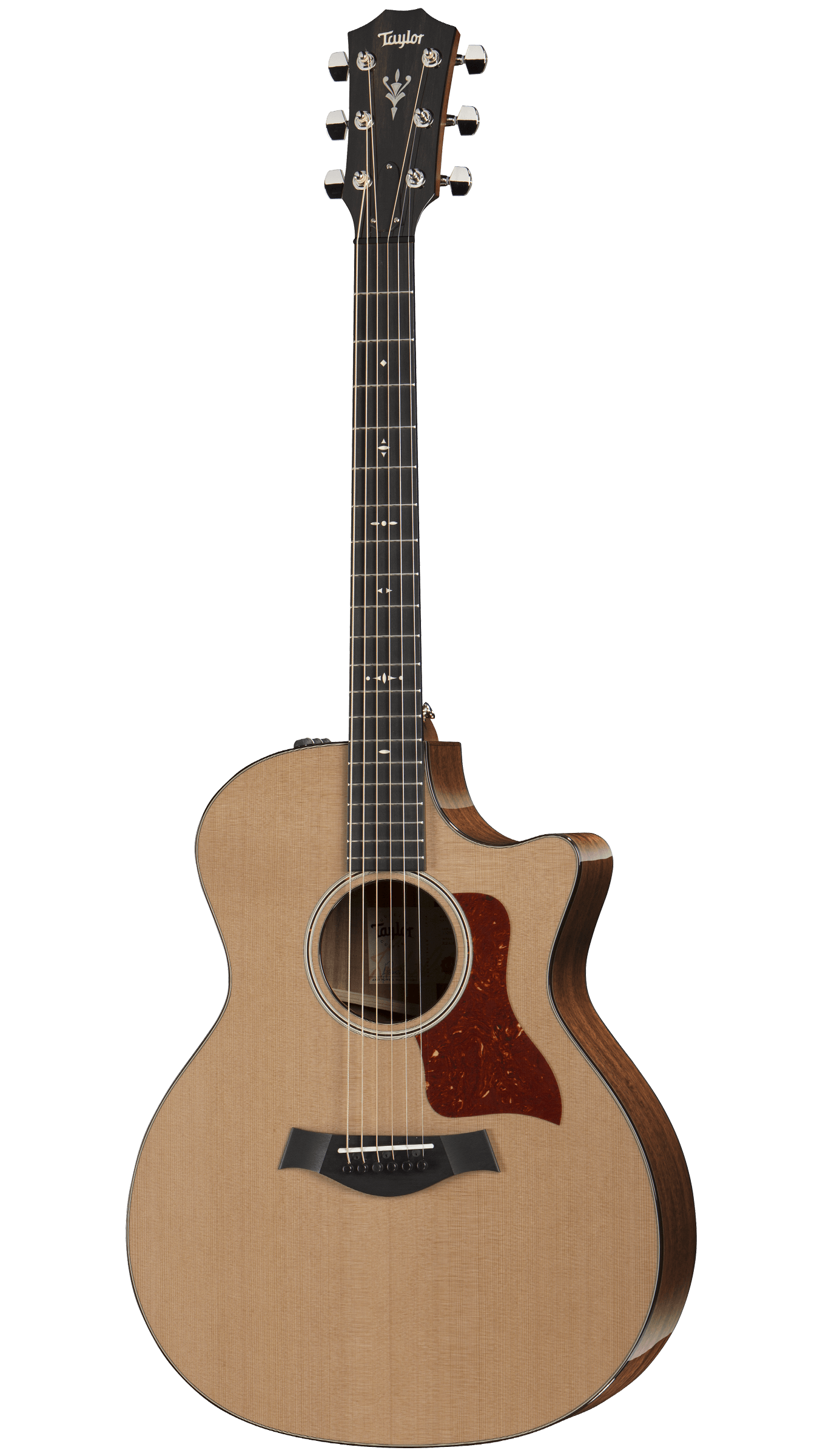 ギター Taylor 514CE Taylor 514ce Acoustic Guitar 木結他 — Tom Lee Music