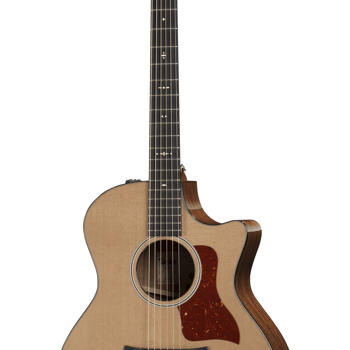 Taylor 514ce Acoustic Guitar 木結他 — Tom Lee Music Taylor 514ce Acoustic Guitar 木結他 — Tom Lee Music