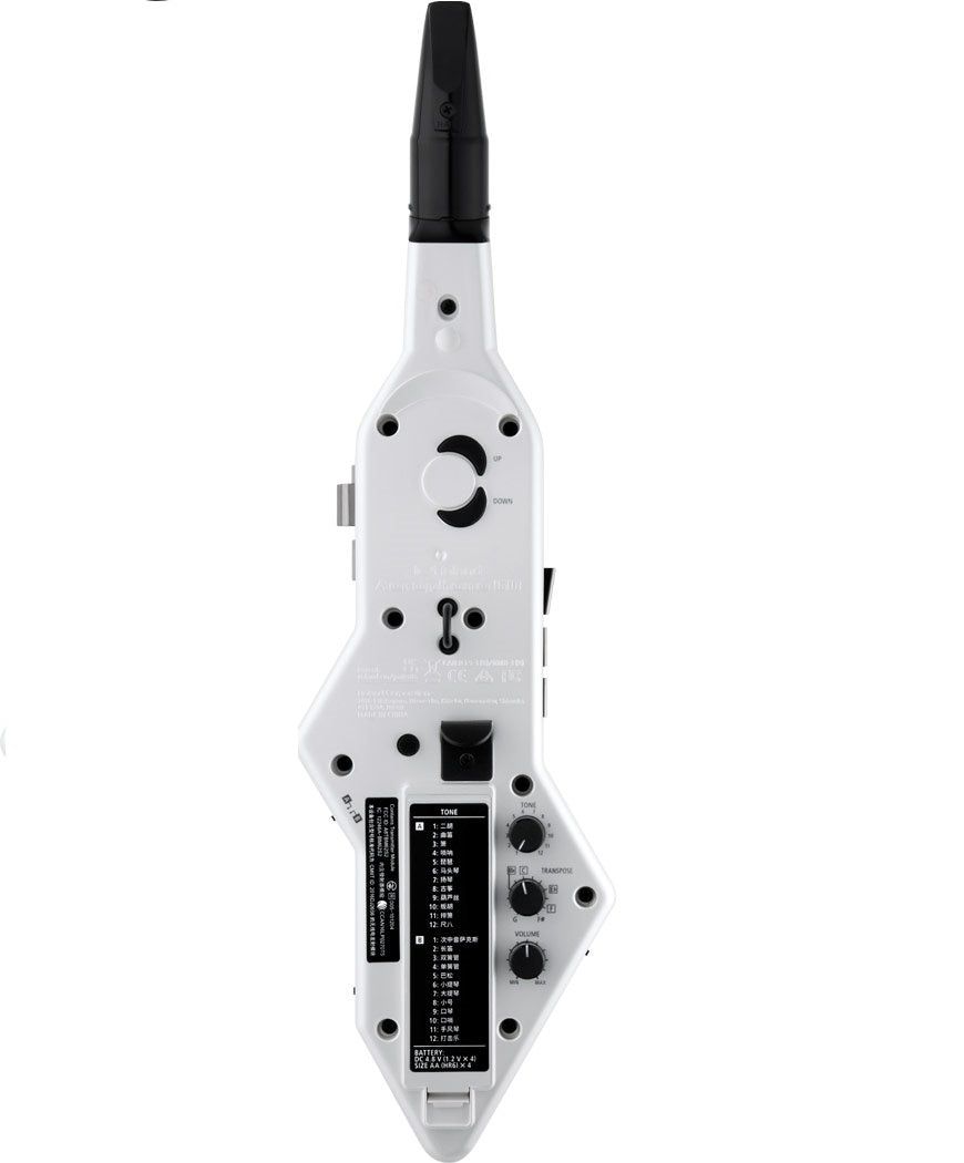 Roland Aerophone GO AE-05C 數碼吹管樂 (NEW)