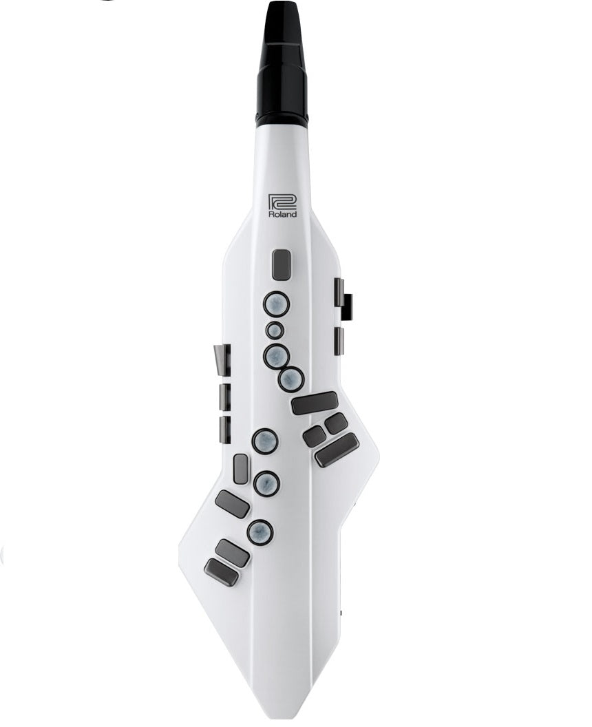 Roland Aerophone GO AE-05C 數碼吹管樂 (NEW)