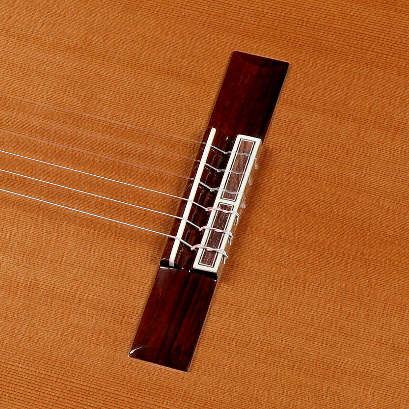 Amalio Burguet Unico Classical Guitar