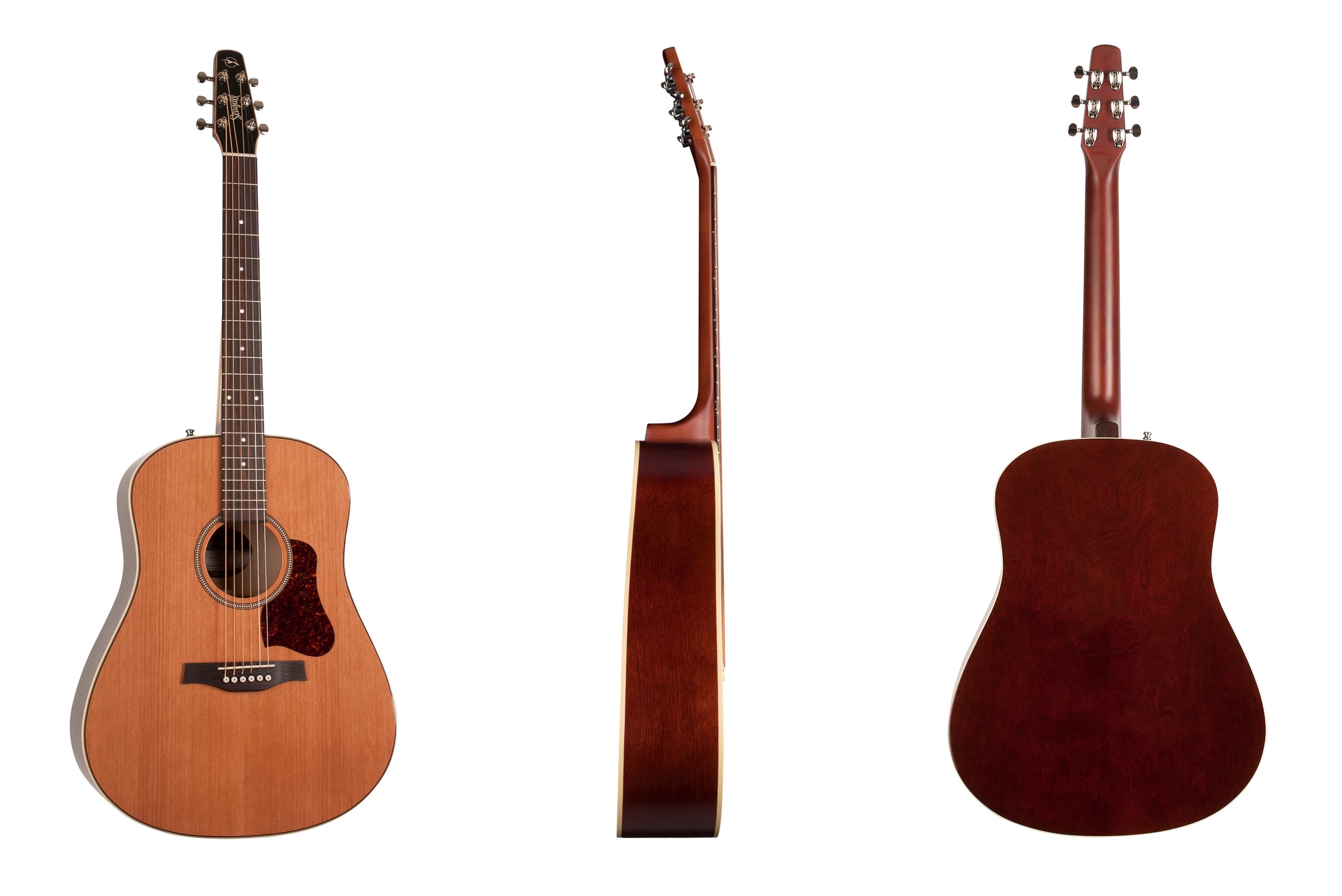 Seagull Coastline Momentum HG A/E (042494) 木結他