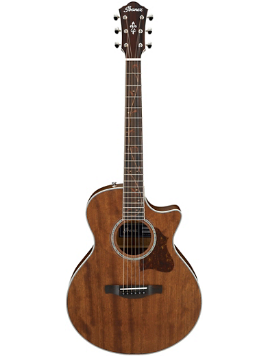 Ibanez AE245JROPN Small Body Acoustic-Electric Guitar木結他