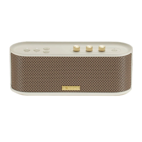 ROLAND-BTM1 Bluetooth Speaker with Instrument Input