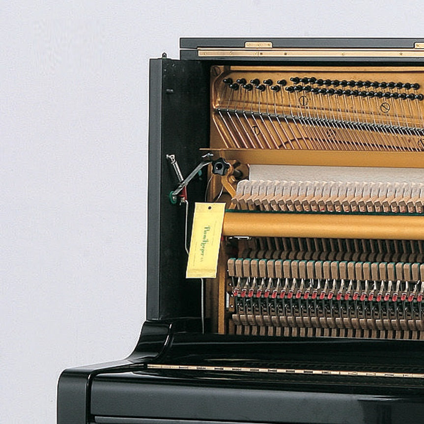 日本製 Piano Keeper SS 鋼琴專用防蟲餅