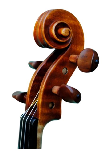 Edgar Russ Professional Violin -  Linea Macchi , copy of Stradivari
