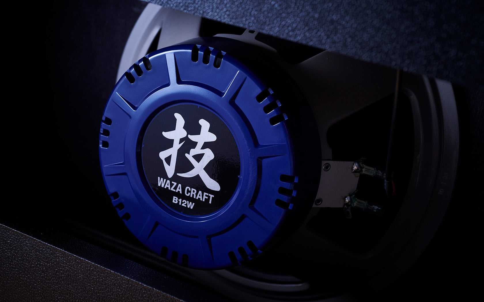 Roland NEX Special Guitar Amplifier