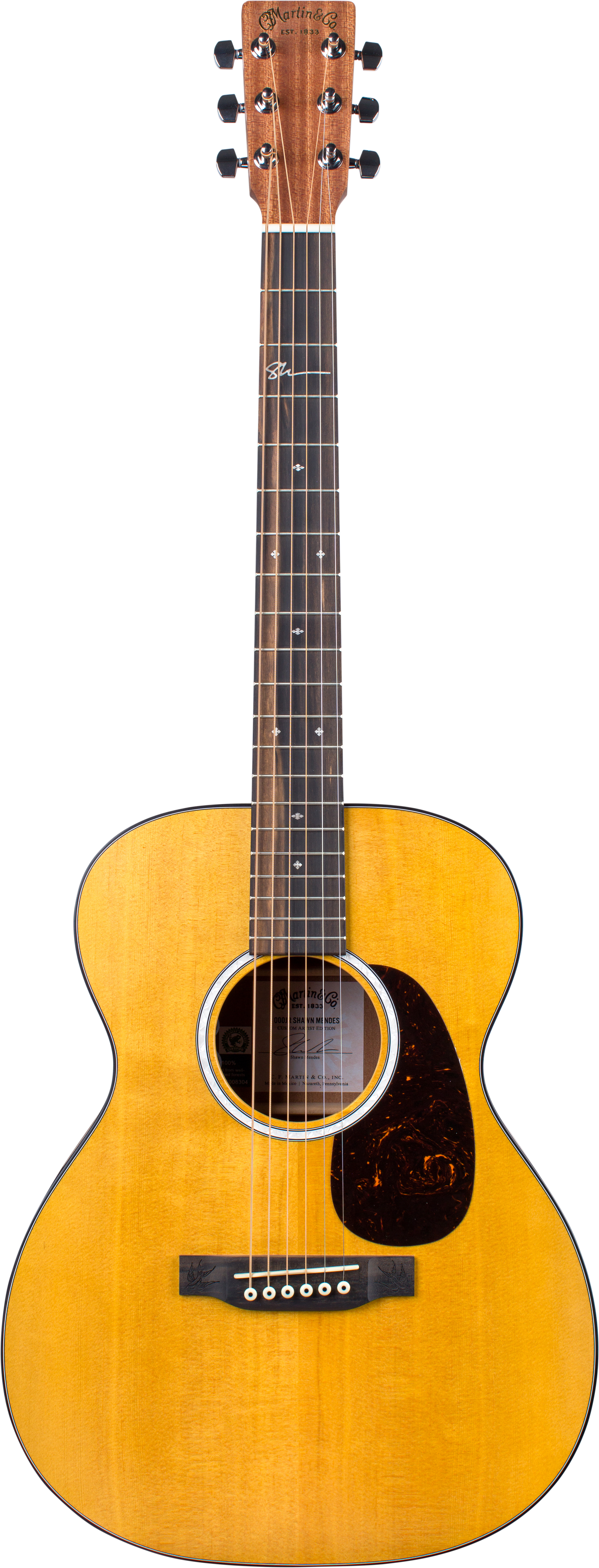 Martin 000JR-10E Shawn Mendes Signature Model — Tom Lee Music Martin 000JR-10E Shawn Mendes Signature Model — Tom Lee Music