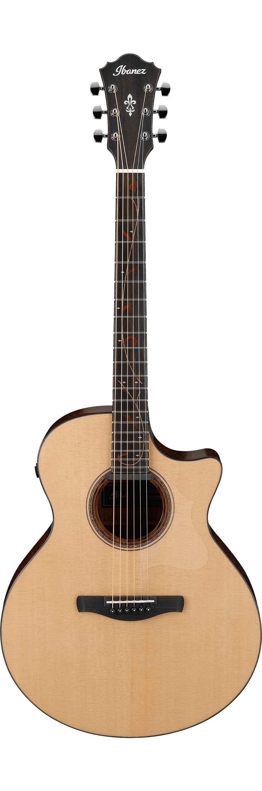 Ibanez AE325LGS (Natural Low Gloss) Acoustic Guitar 木結他