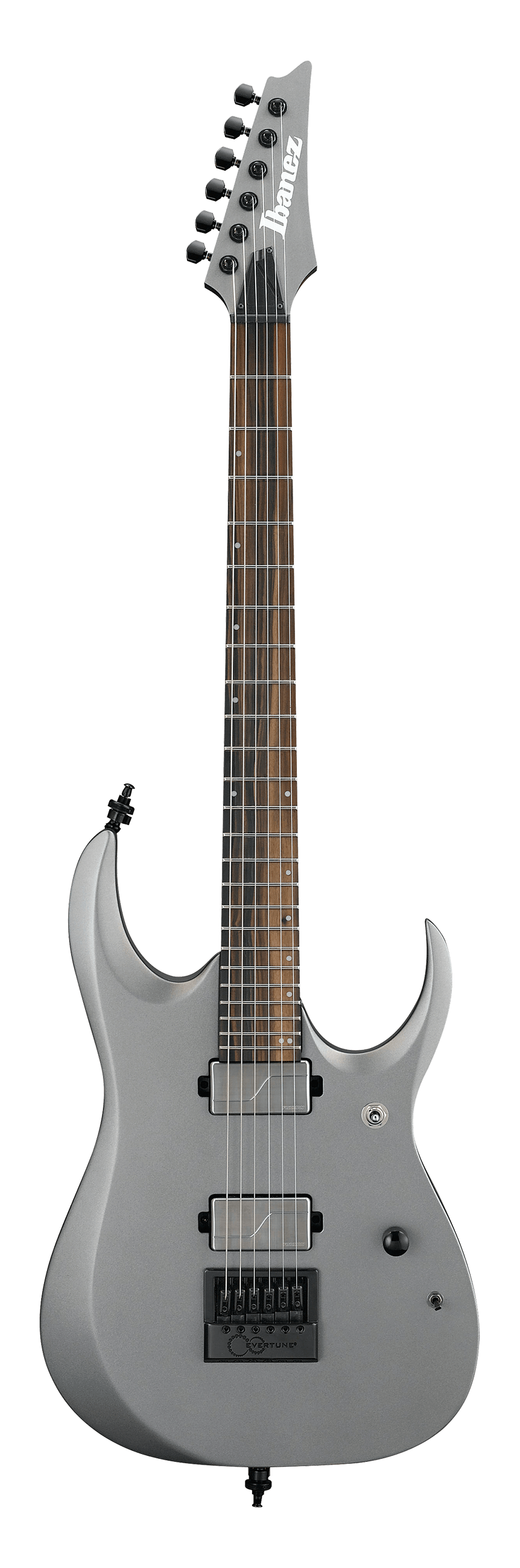 IBANEZ Axion Label RGD61ALETMGM (Metallic Gray Matte) Electric Guitar 電結他