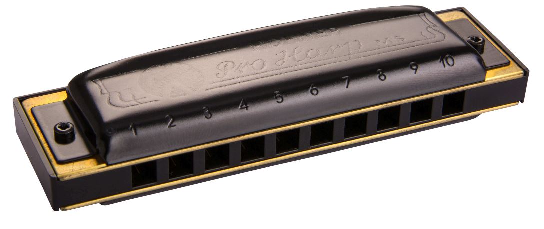 Hohner MS Series Pro-Harp 10-hole Diatonic Harmonica (assorted keys)