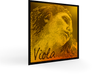 Pirastro Evah Pirazzi Gold String Set for Viola 
