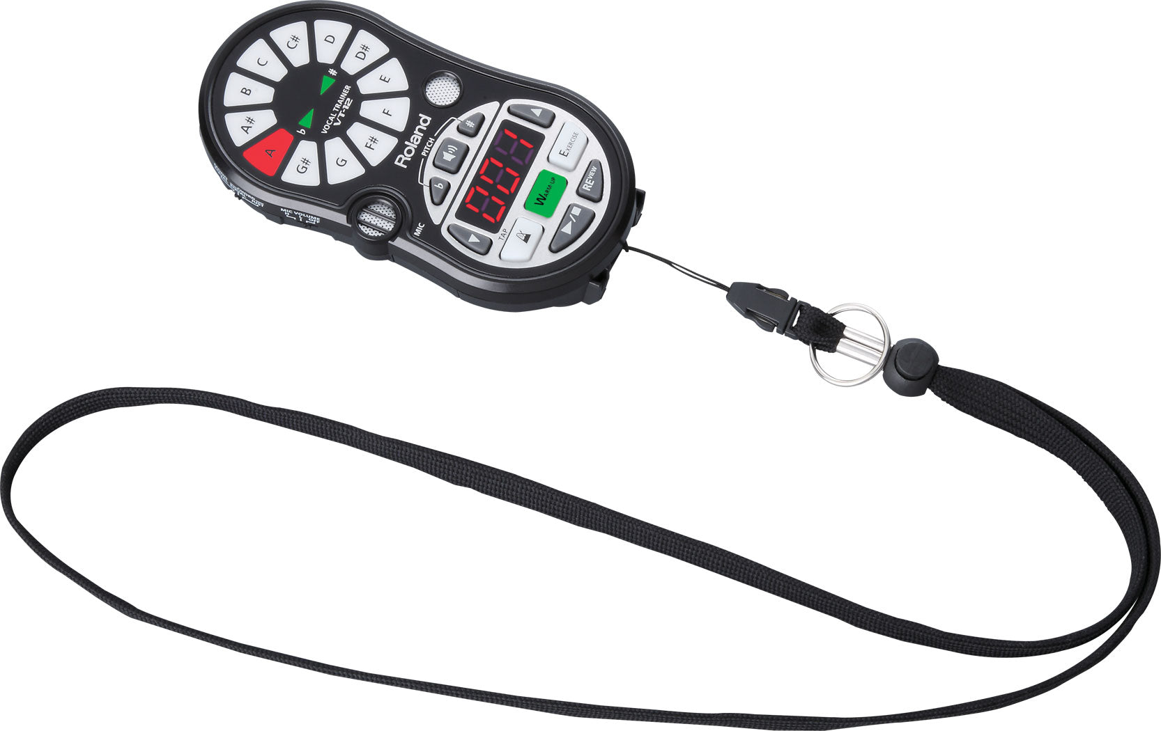 Roland Voice Trainer (VT12)